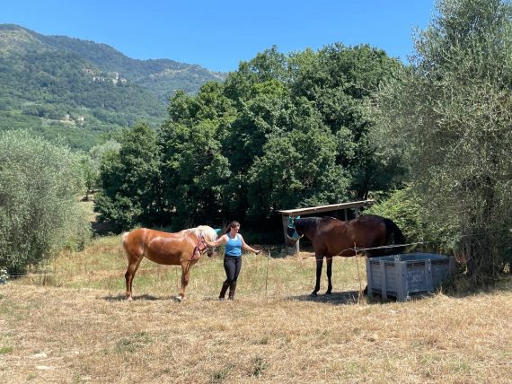 Vendita di settembre… un grande Reminder di metà mese e tante belle iniziative in Fattoria!