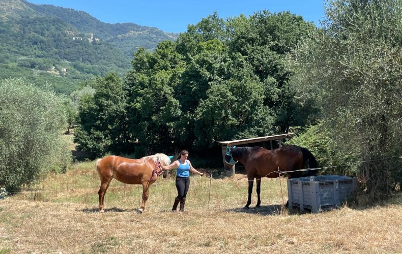 Vendita di settembre… un grande Reminder di metà mese e tante belle iniziative in Fattoria!