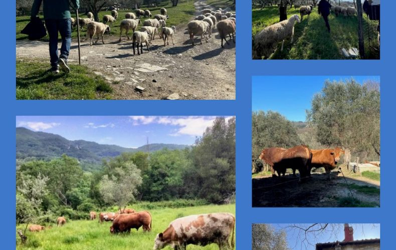 Finalmente la primavera… vendita diretta a go go!