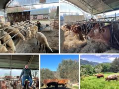 Arriva Pasqua… risorge la #riscossacontadina con un trionfo di vendite dirette!