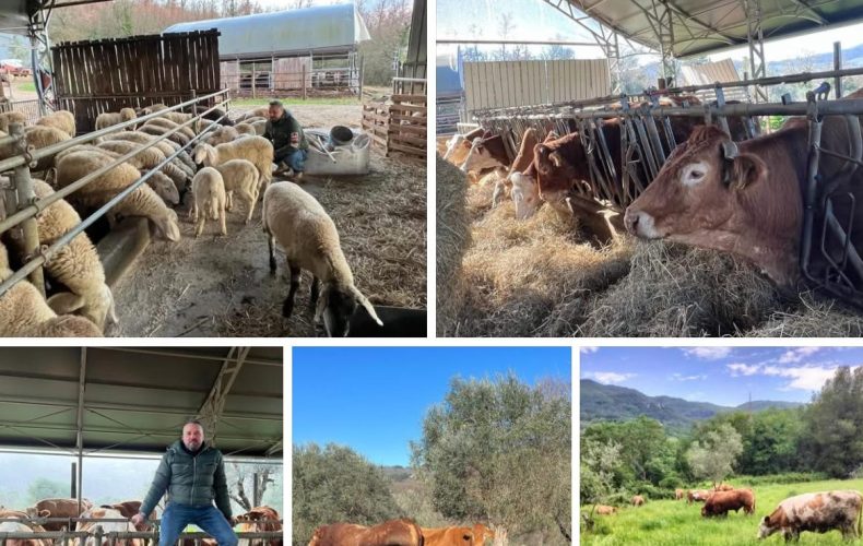 Arriva Pasqua… risorge la #riscossacontadina con un trionfo di vendite dirette!