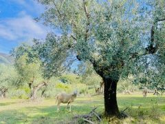 Reminder di Ottobre… tanta bontà e qualità per Autunno a volontà!