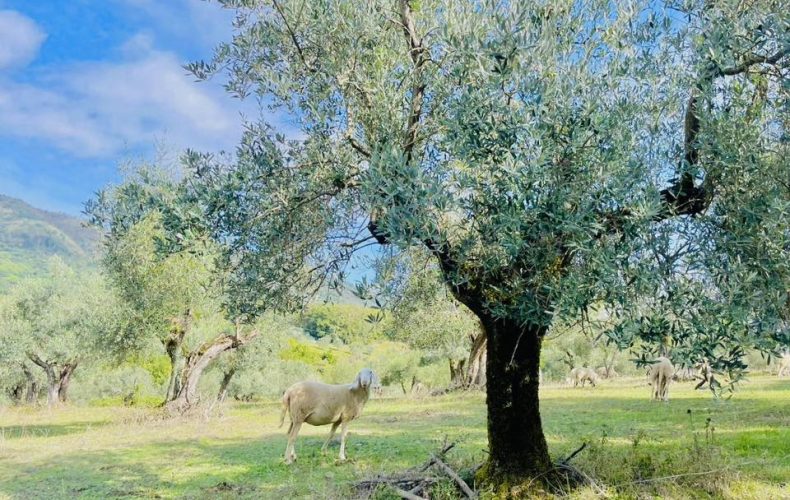 Reminder di Ottobre… tanta bontà e qualità per Autunno a volontà!