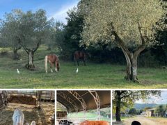 Arriva Novembre… un po’ meno Ribotta e sempre più Riscossa… a tavola e nella vita!