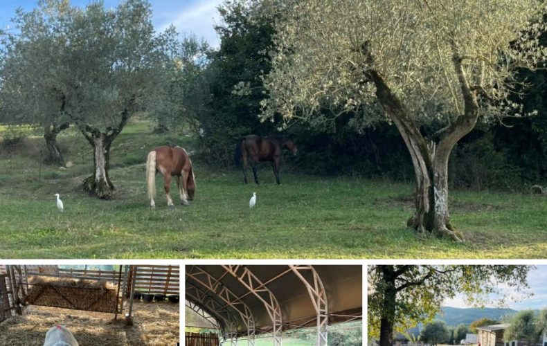 Arriva Novembre… un po’ meno Ribotta e sempre più Riscossa… a tavola e nella vita!