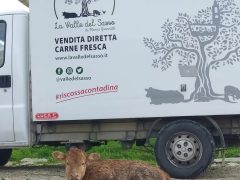 Vendite fine novembre e Immacolata… 2 grandi Novità made in #RiscossaContadina!