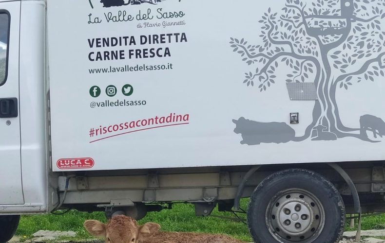 Vendite fine novembre e Immacolata… 2 grandi Novità made in #RiscossaContadina!