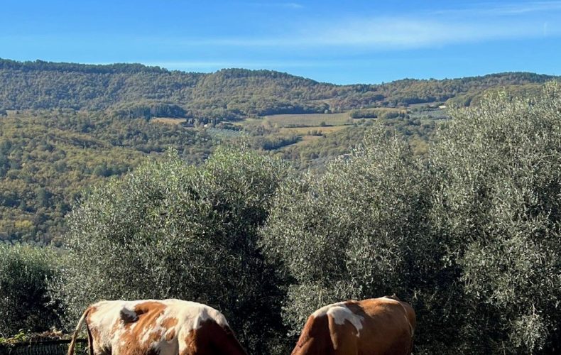 Reminder di Novembre… prodotti strepitosi per piatti gustosi!