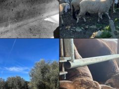 Reminder invernale… tempo di merla e di ciccia che riscalda cuore e palato!