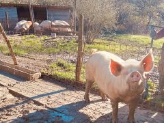 Un Reminder che ci proietta nella luce e nei sapori… vendite dirette di fine febbraio e inizio marzo!