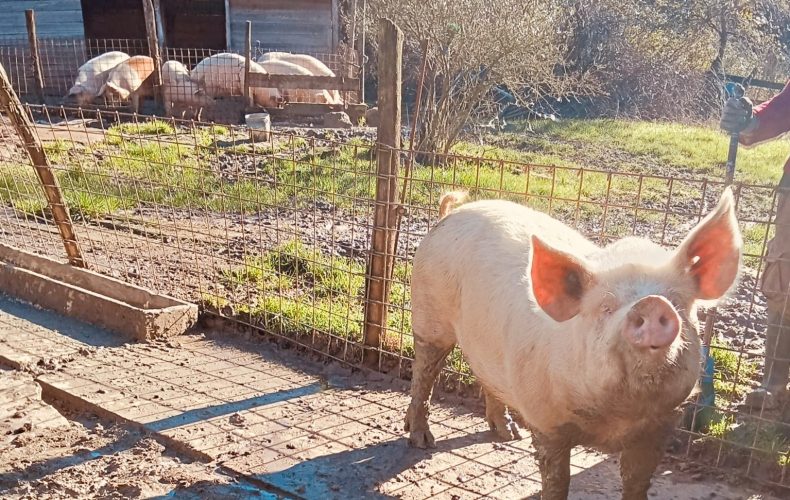 Un Reminder che ci proietta nella luce e nei sapori… vendite dirette di fine febbraio e inizio marzo!