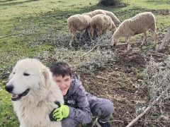 Arriva la Pasqua… due appuntamenti splendidi e splendenti con la vendita diretta delle nostre carni!