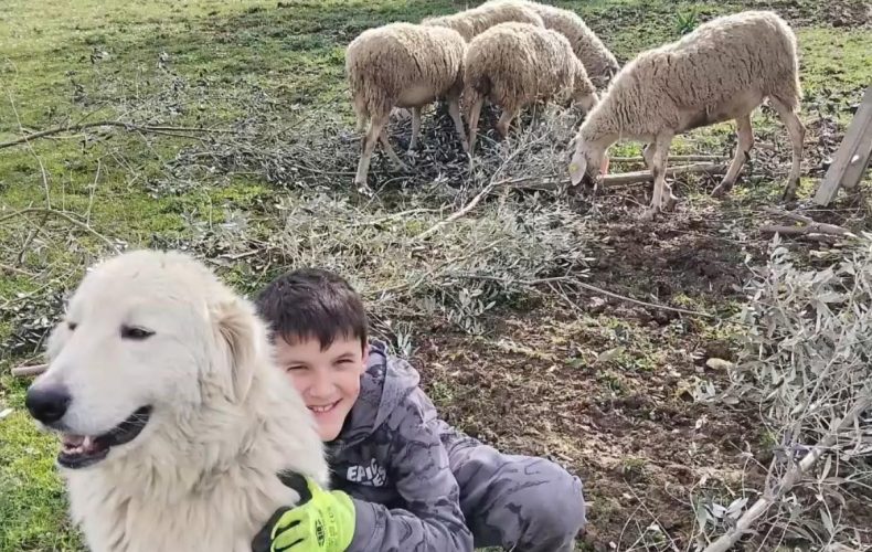 Arriva la Pasqua… due appuntamenti splendidi e splendenti con la vendita diretta delle nostre carni!