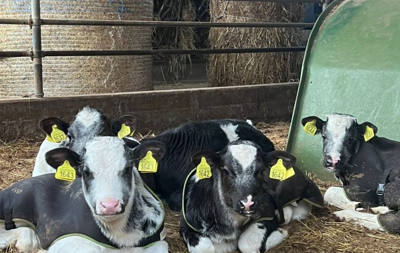 Primavera e Pasqua… risorge la Riscossa Contadina con grandi vendite dirette!