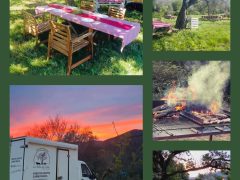 Princìpi di Ribotta… si riparte ufficialmente con le grigliate in Fattoria, tra animali,  allegria e fantasia!