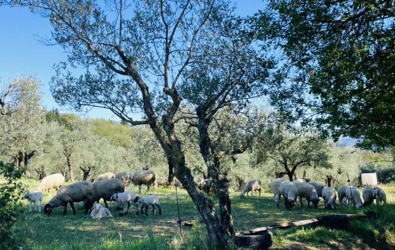 Maggio di abbondanza e festa con i prodotti della Riscossa Contadina!