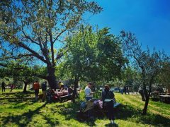 Giugno… all’imbrunire decolla La Ribotta!