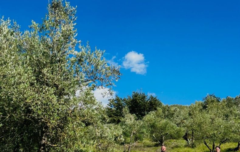 Reminder di giugno… arriva l’estate sulle ali del piccione, tutti in Fattoria tra agnelli, grigliate e allegria!