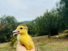Reminder di settembre… gustose occasioni con grigliate in Ribotta e nuove Vendite Dirette!