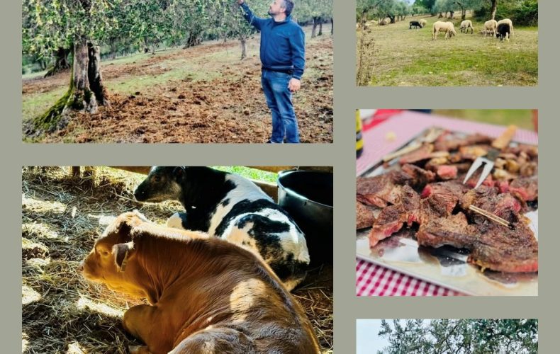 Novembre… tra feste, ‘olio novo’ e Vendite Dirette!